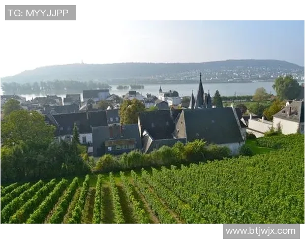 德国足球球星德勒斯个人简介及其职业生涯成就分析